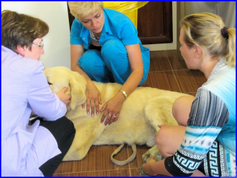 Фото: Lena Zyirina (Лена Зырина), ФРАНКО