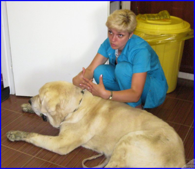 Фотография № 184600