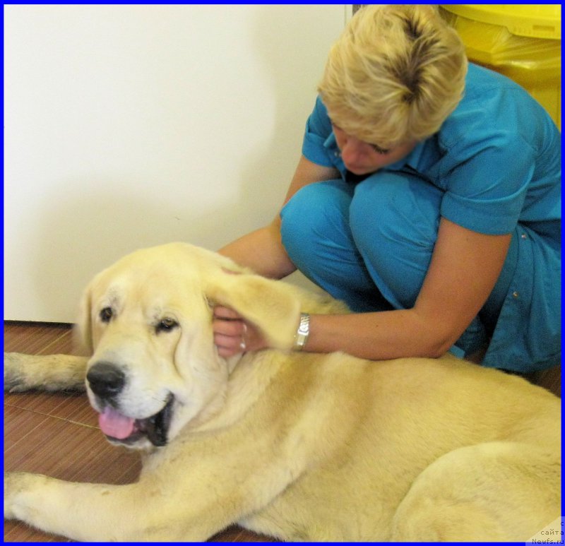 Фото: Lena Zyirina (Лена Зырина), ФРАНКО