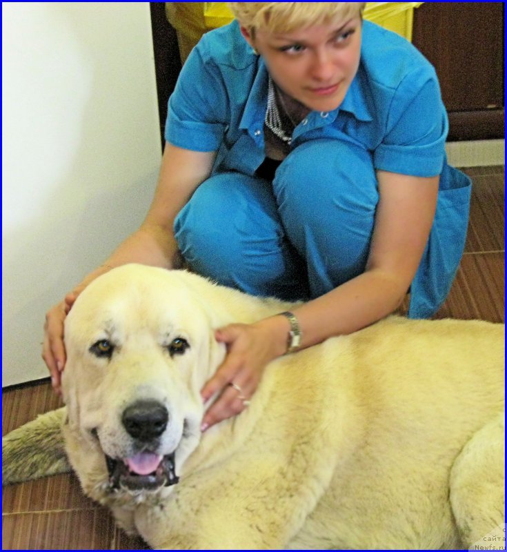 Фотография № 184603