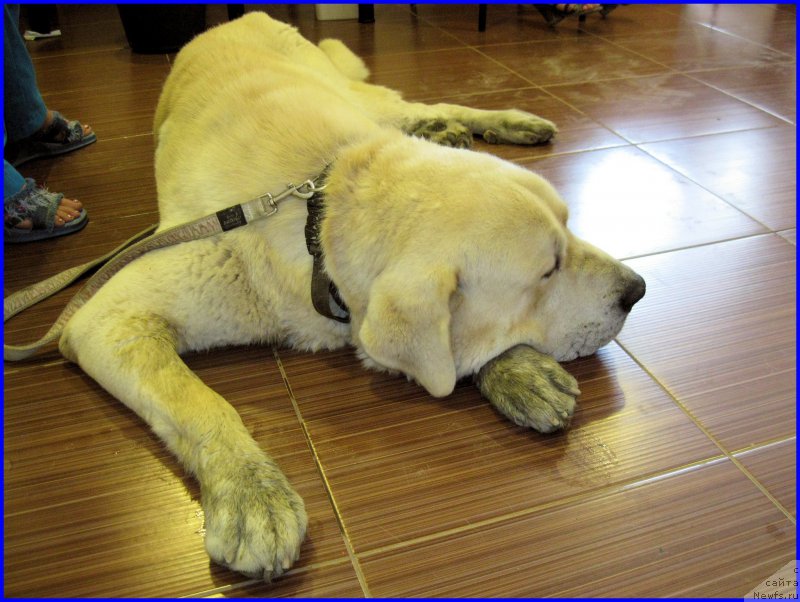 Фотография № 184605