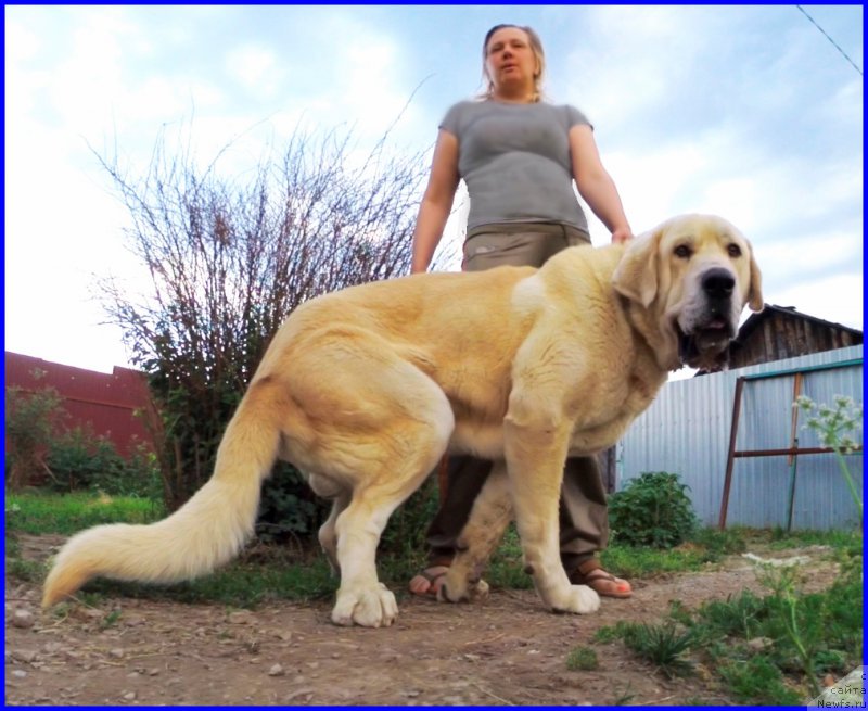 Фотография № 184608