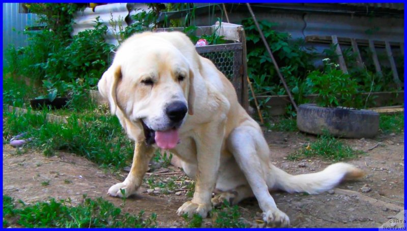 Фотография № 184610