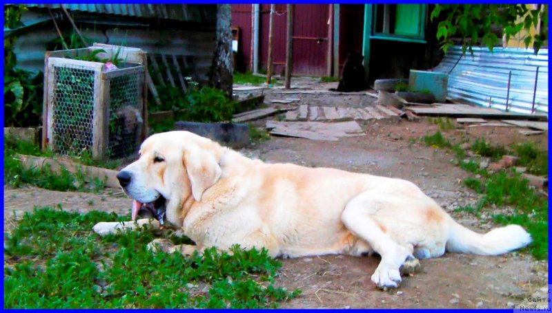 Фото: Lena Zyirina (Лена Зырина), ФРАНКО