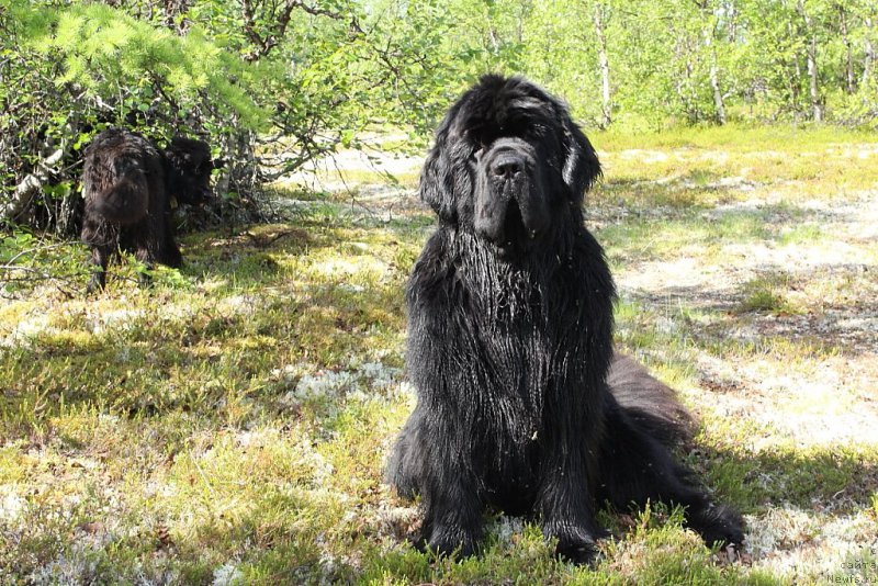 Фотография № 184616