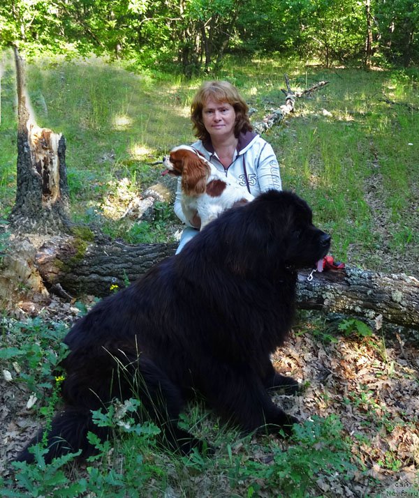 Фотография № 184617