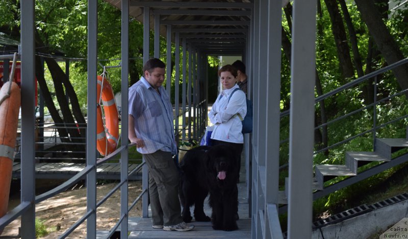 Фотография № 184652