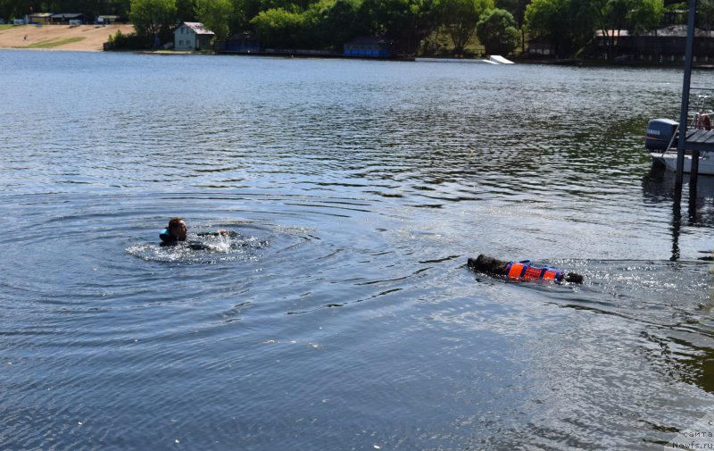 Фотография № 184654