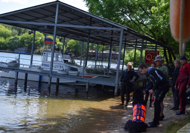 Фотография № 184659