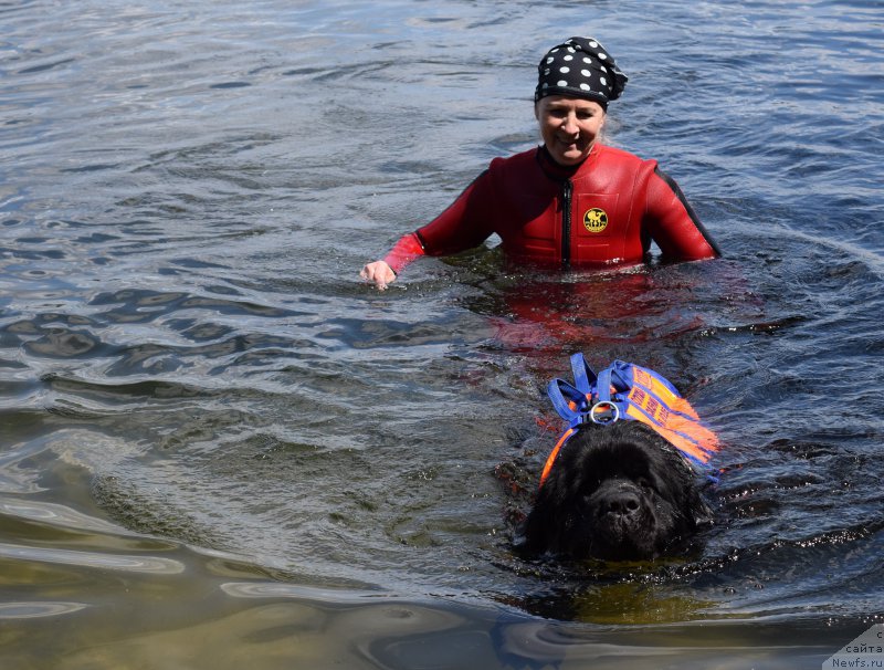 Фотография № 184675