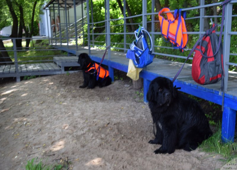 Фотография № 184678