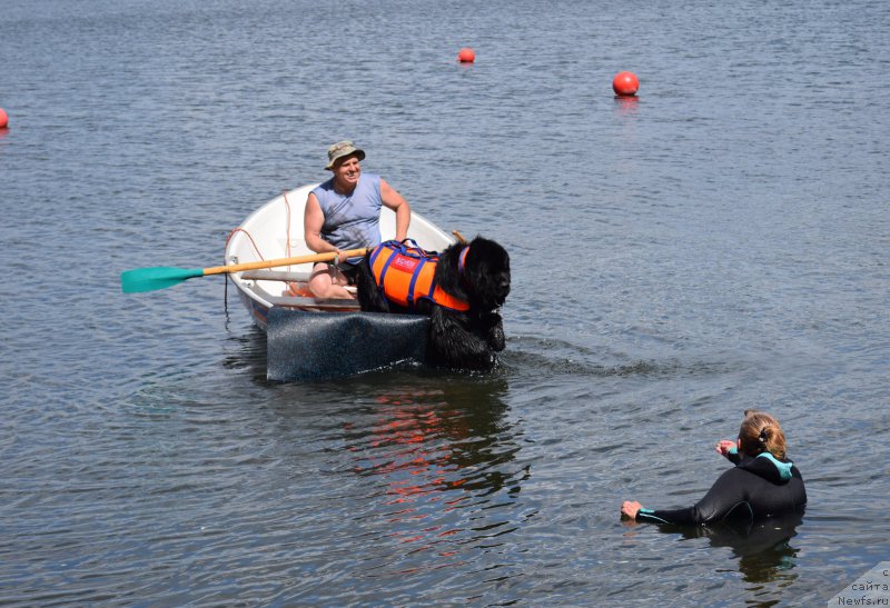 Фото: Antonina CHigvinceva (Антонина Чигвинцева)