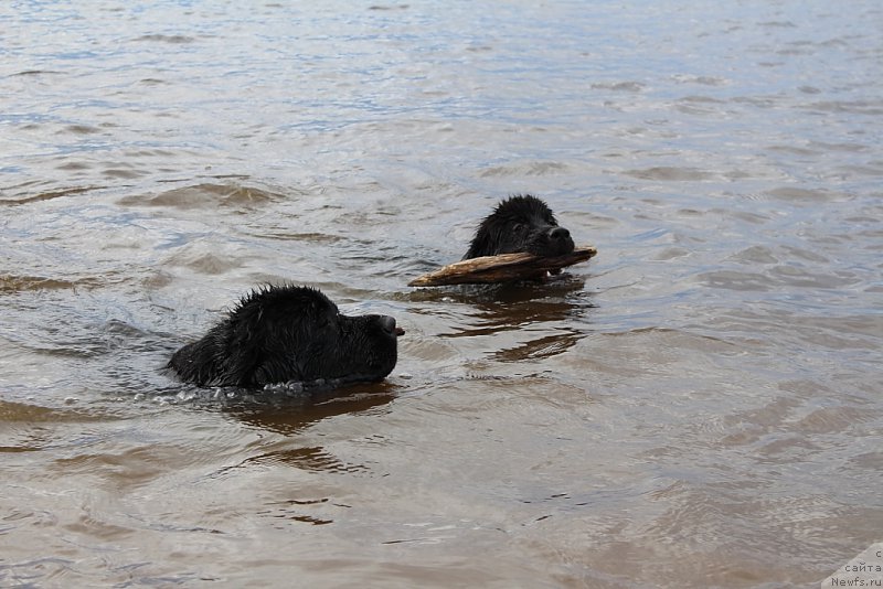 Фотография № 184689