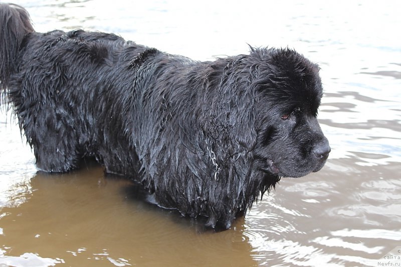 Фотография № 184692