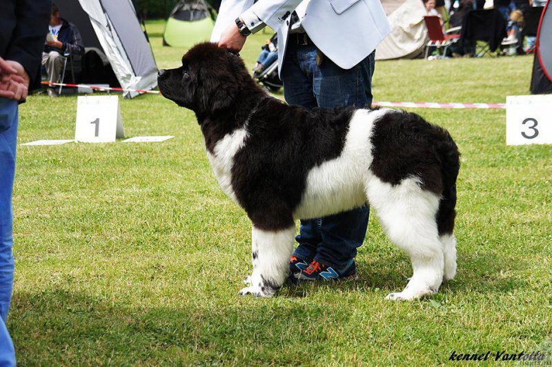 Фотография № 184726