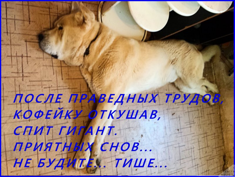 Фотография № 184751