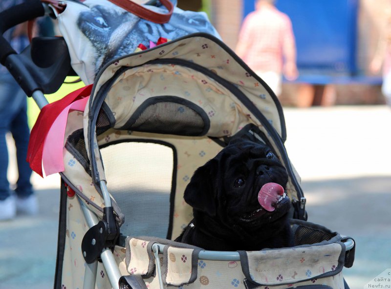 Фотография № 184753