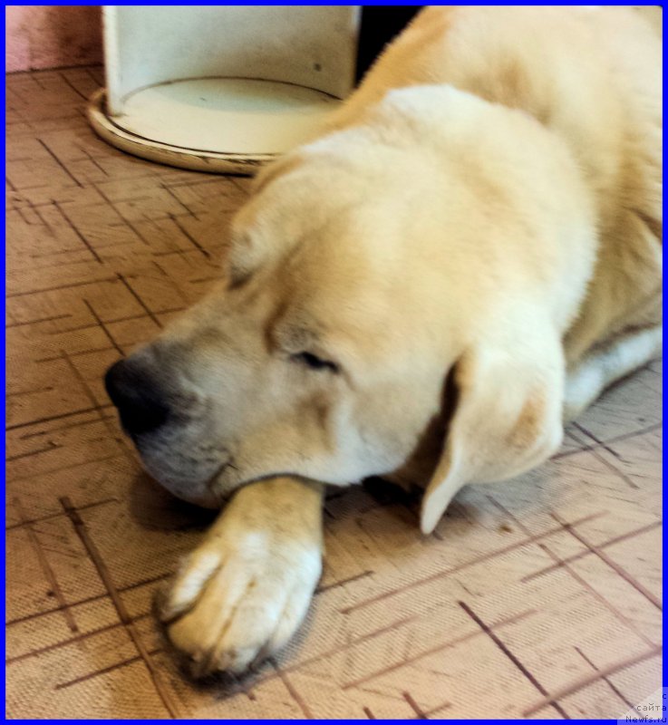 Фотография № 184755