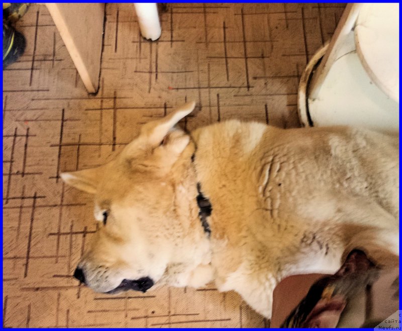 Фотография № 184756