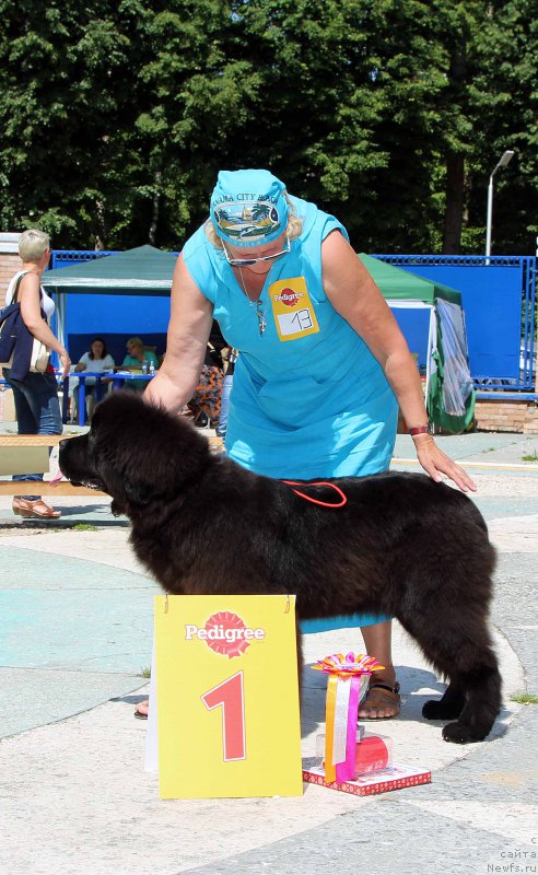 Фотография № 184759