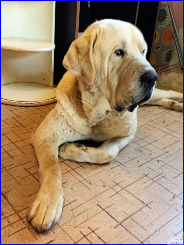 Фотография № 184760