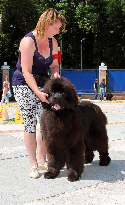 Фотография № 184762