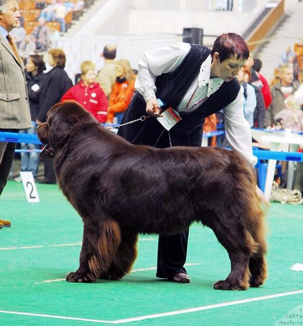 Фотография № 18477