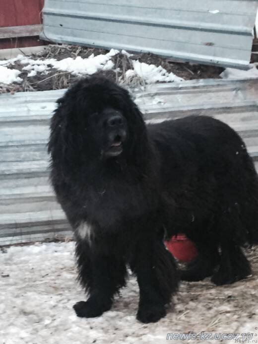 Фотография № 184774