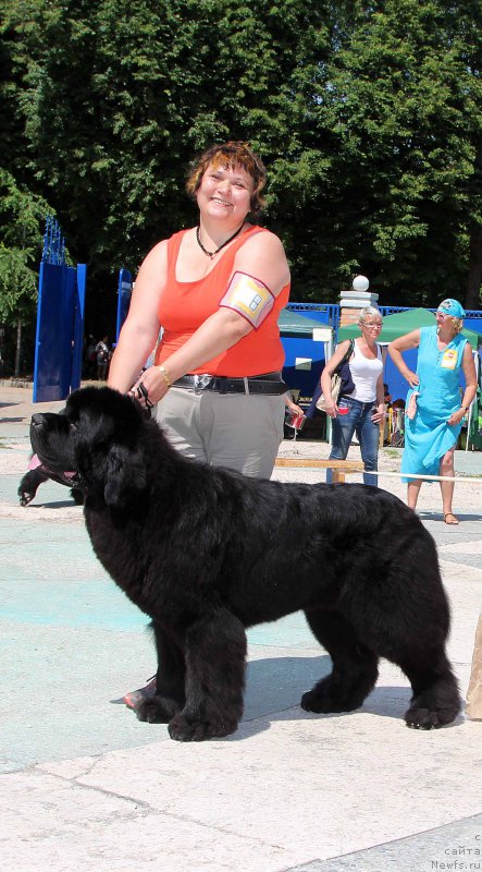 Фотография № 184781