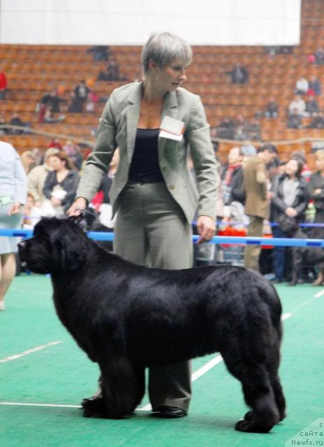 Фотография № 18480