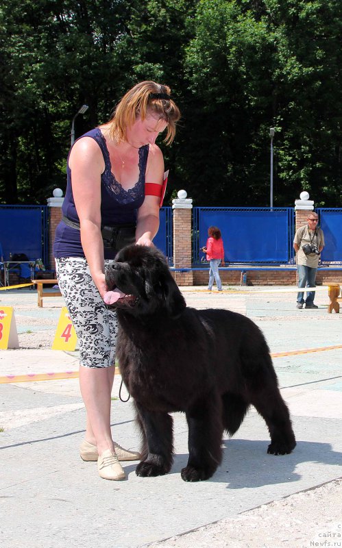 Фотография № 184802