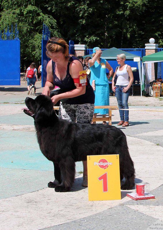 Фотография № 184803