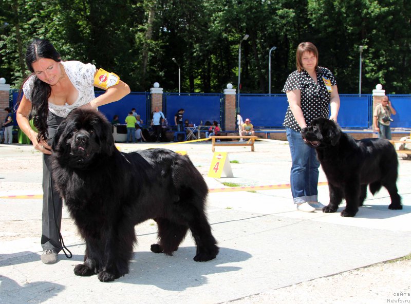 Фотография № 184804