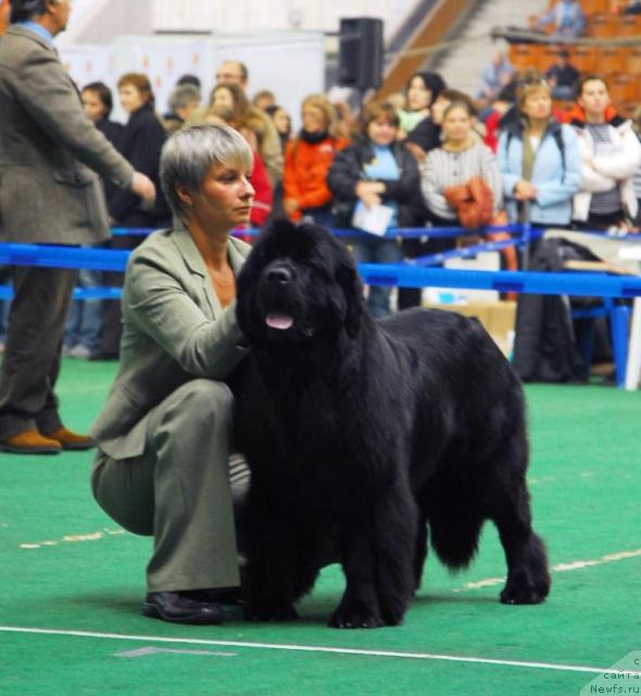 Фотография № 18481