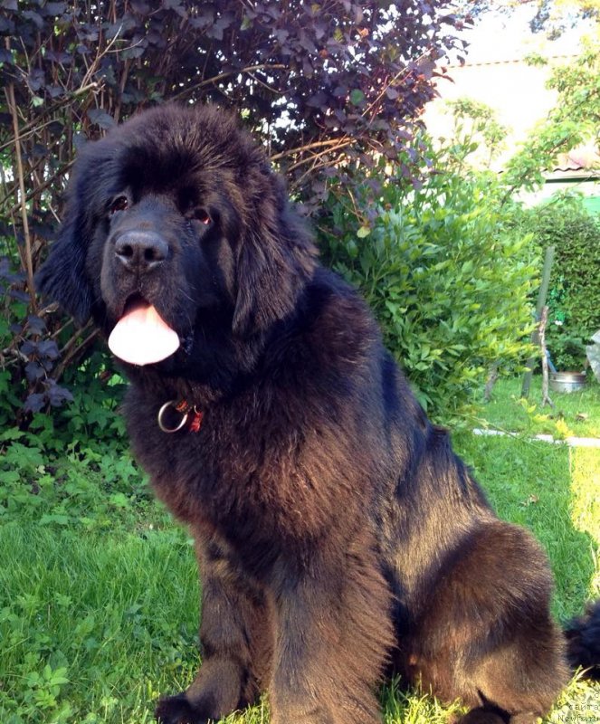 Фотография № 184824