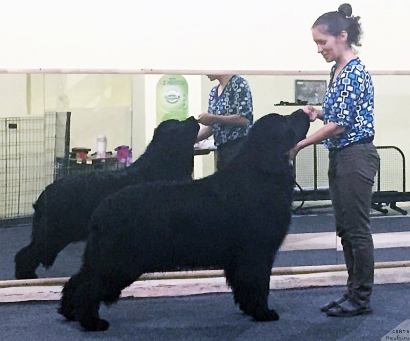 Фото: Бегущая по волнам Чек Пойнт