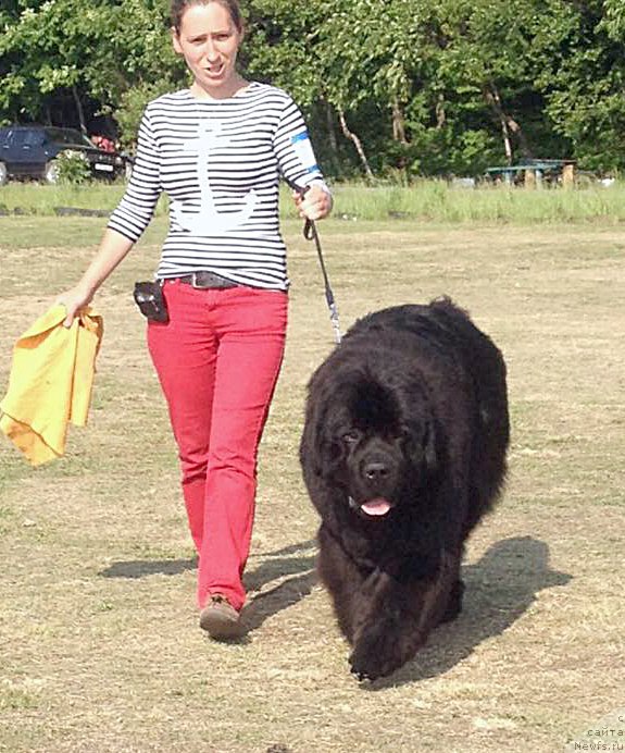 Фото: Бегущая по волнам Чек Пойнт