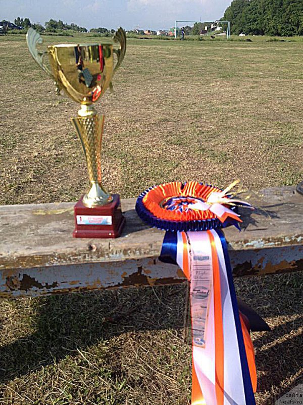 Фото: Бегущая по волнам Чек Пойнт