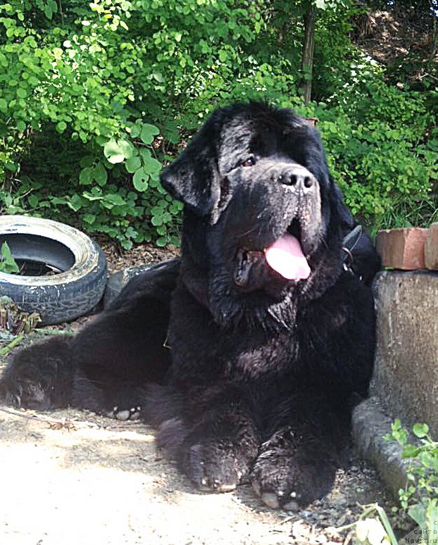 Фото: Бегущая по волнам Чек Пойнт