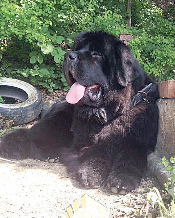 Фото: Бегущая по волнам Чек Пойнт