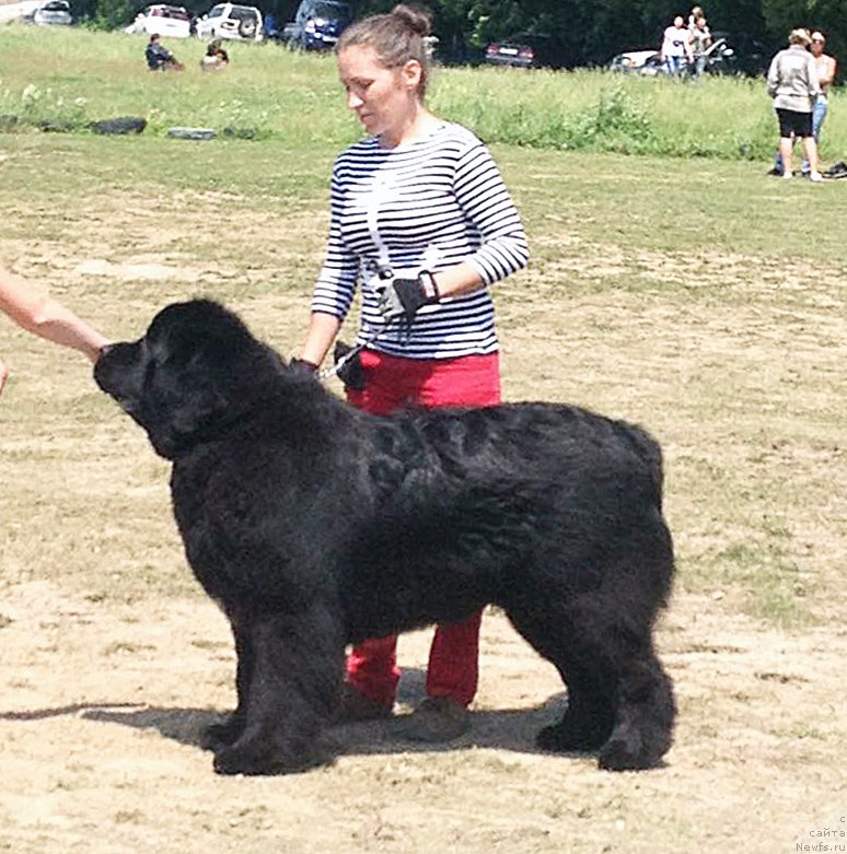 Фото: Бегущая по волнам Чек Пойнт
