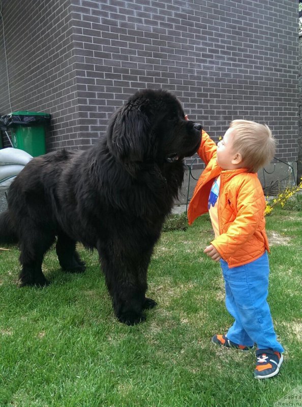 Фотография № 184832