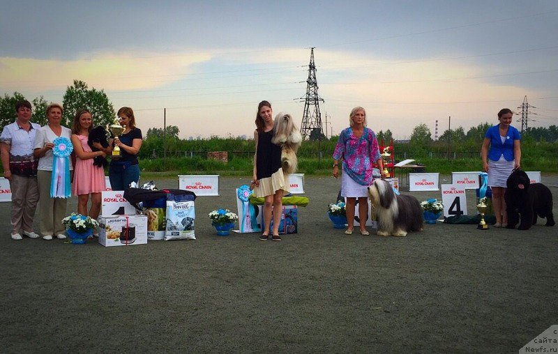 Фотография № 184833