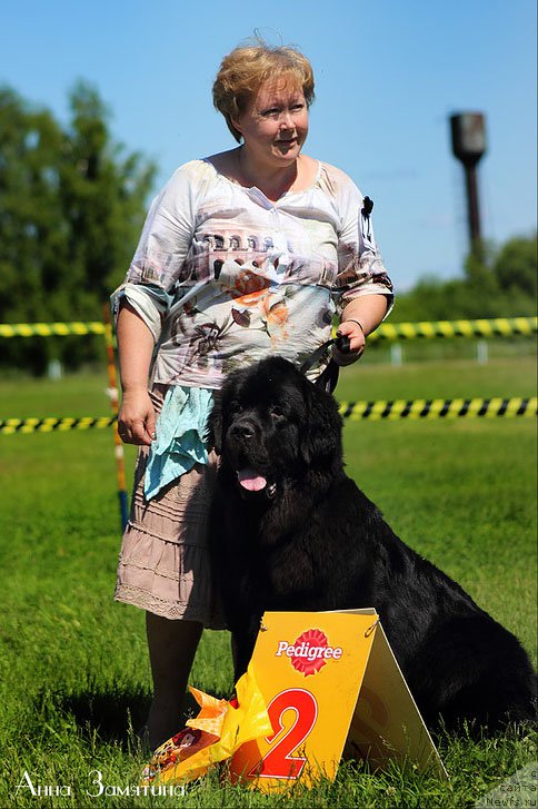 Фотография № 184849