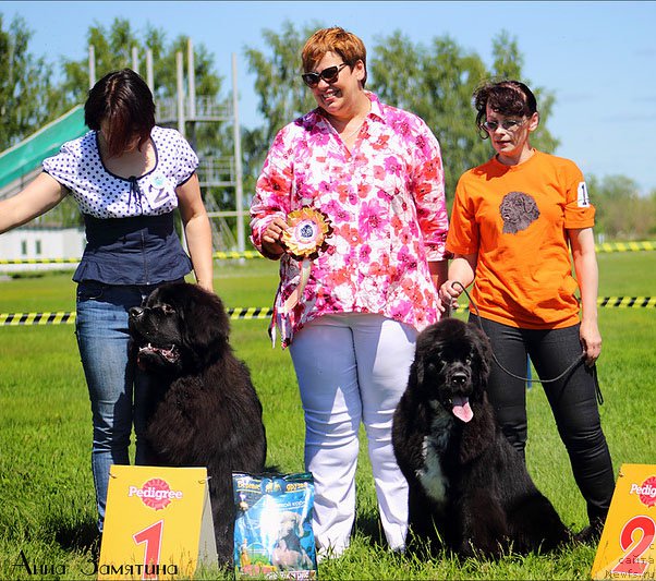 Фотография № 184851