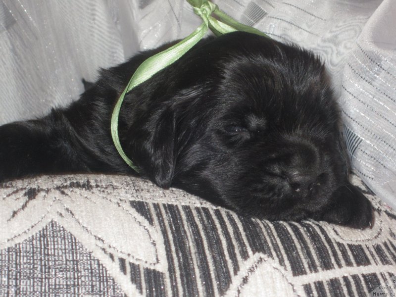 Фото: Natal'ya Smazchikova (Наталья Смазчикова)