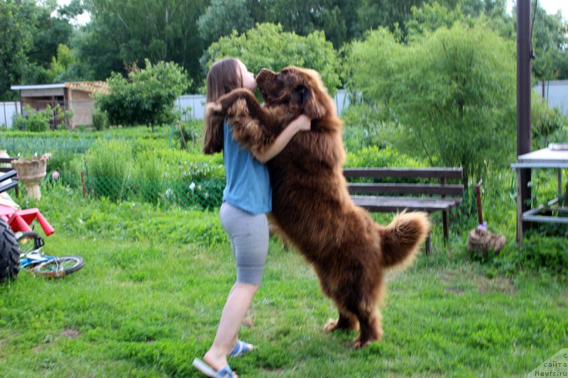 Фотография № 184915