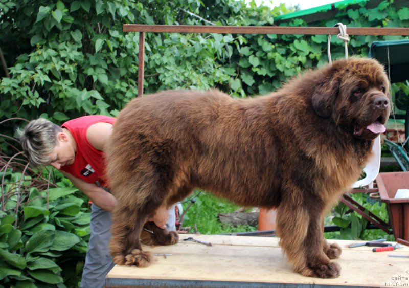 Фотография № 184916