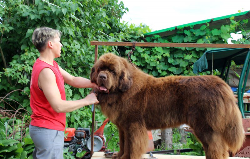 Фотография № 184918