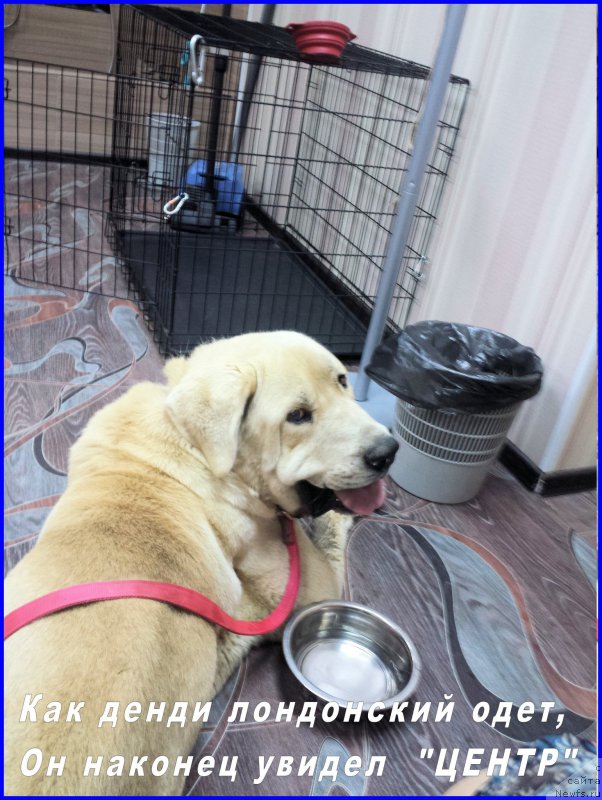 Фотография № 184920